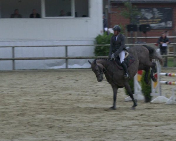 Reitturnier Albersloh 2019