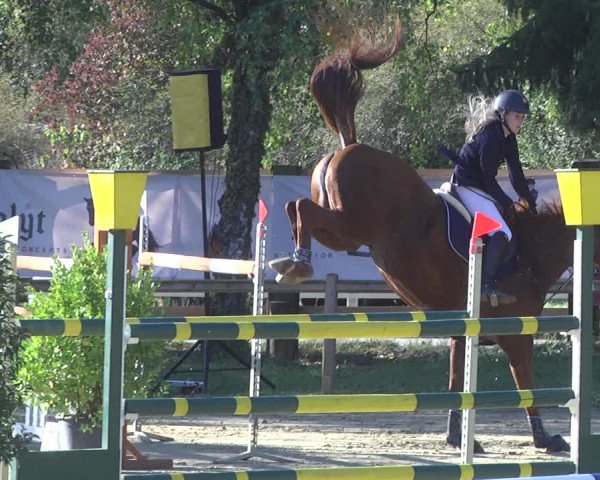 Reitturnier Walldorf/Winterheck 2019