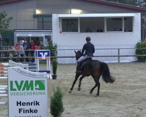 Reitturnier Albersloh 2019
