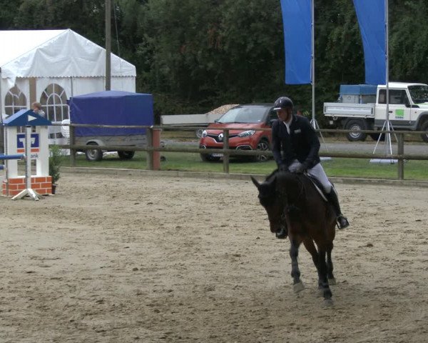 Reitturnier Albersloh 2019