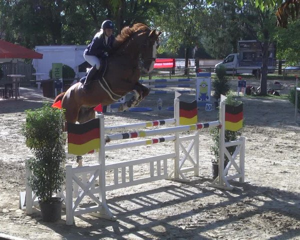 Reitturnier Walldorf/Winterheck 2019