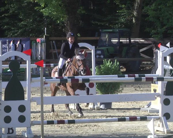 Reitturnier Walldorf/Winterheck 2019