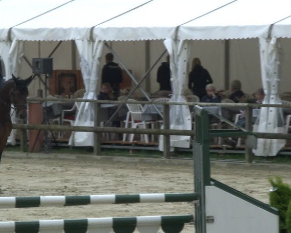 Reitturnier Albersloh 2019