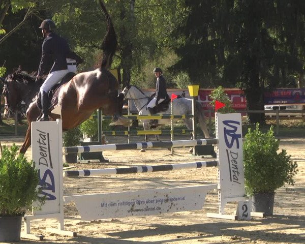 Reitturnier Walldorf/Winterheck 2019