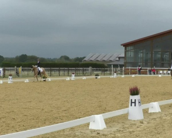 Reitturnier Swisttal-Miel 2019