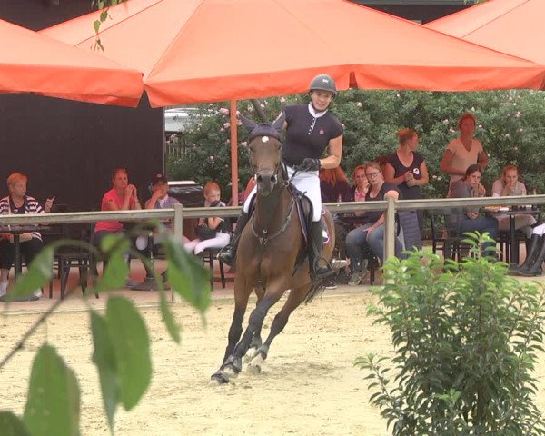 Reitturnier Walldorf/Winterheck 2019