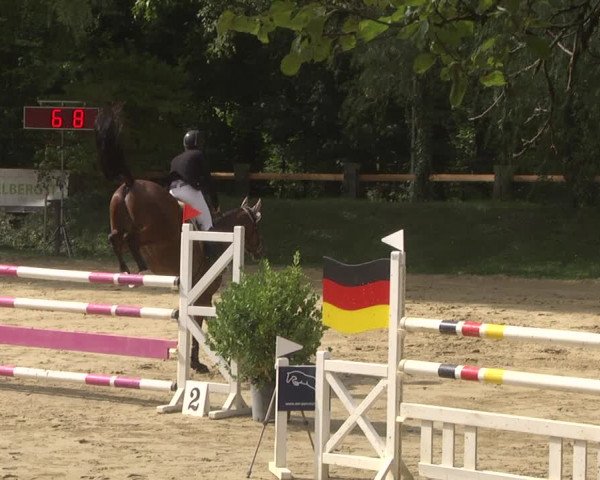 Reitturnier Walldorf/Winterheck 2019