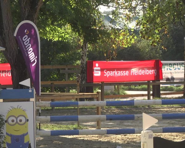 Reitturnier Walldorf/Winterheck 2019