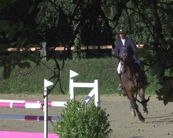 Reitturnier Walldorf/Winterheck 2019
