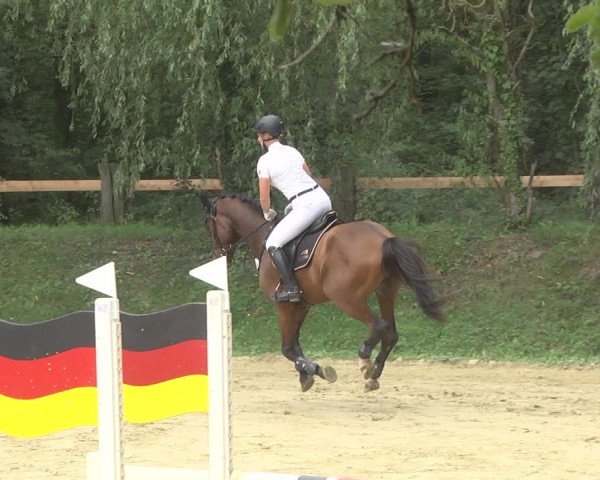 Reitturnier Walldorf/Winterheck 2019
