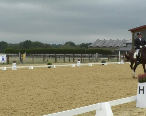 Reitturnier Swisttal-Miel 2019