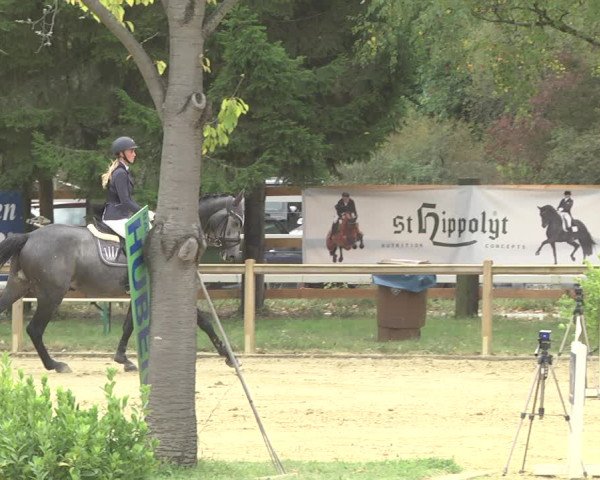 Reitturnier Walldorf/Winterheck 2019