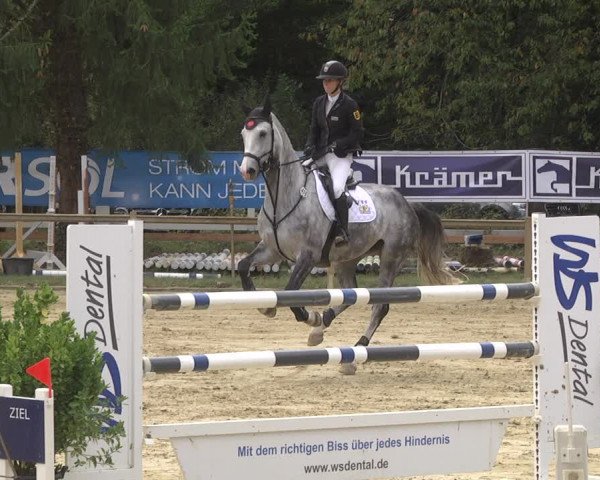 Reitturnier Walldorf/Winterheck 2019