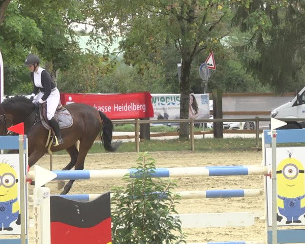 Reitturnier Walldorf/Winterheck 2019