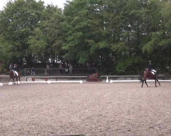 Reitturnier Würselen-Pley 2019