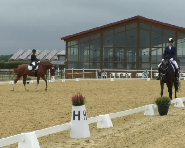 Reitturnier Swisttal-Miel 2019