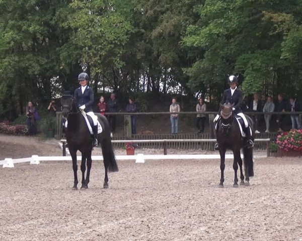 Reitturnier Würselen-Pley 2019