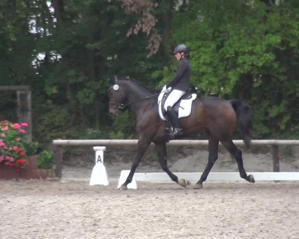 Reitturnier Würselen-Pley 2019