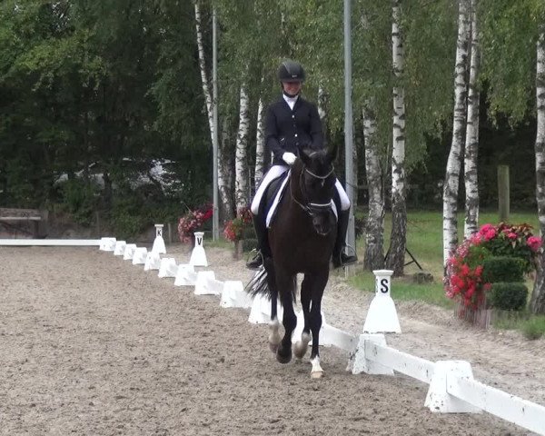 Reitturnier Würselen-Pley 2019