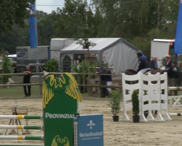 Reitturnier Albersloh 2019