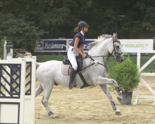 Reitturnier Walldorf/Winterheck 2019
