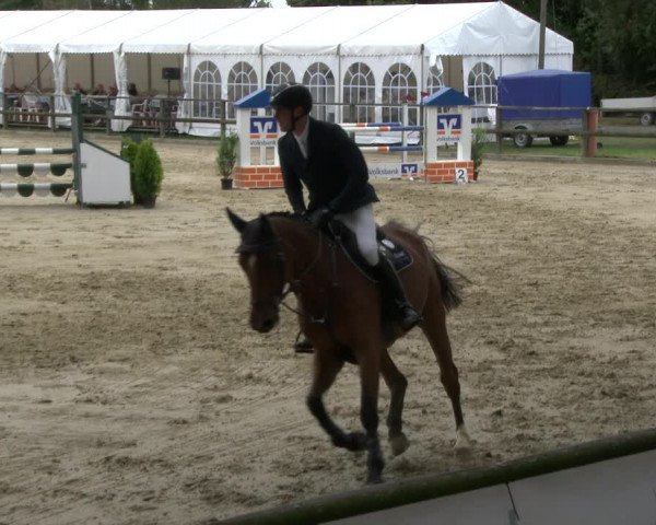 Reitturnier Albersloh 2019