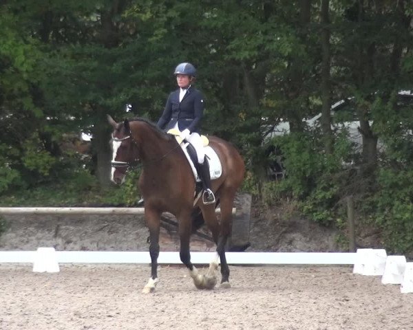 Reitturnier Würselen-Pley 2019