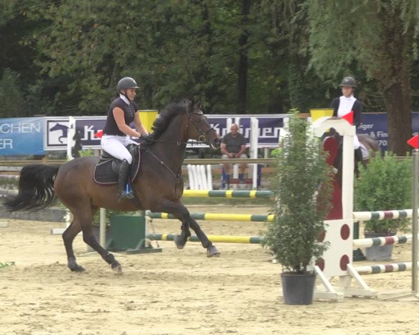 Reitturnier Walldorf/Winterheck 2019