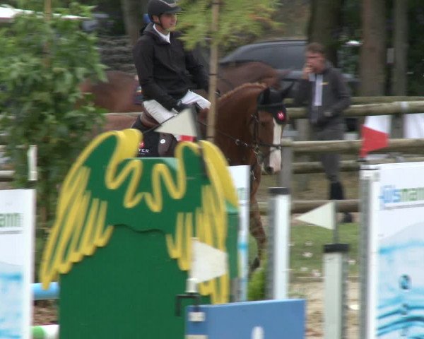 Reitturnier Albersloh 2019
