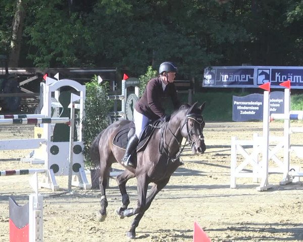 Reitturnier Walldorf/Winterheck 2019