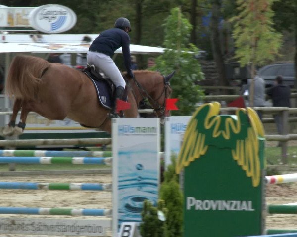 Reitturnier Albersloh 2019