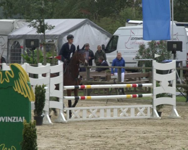 Reitturnier Albersloh 2019