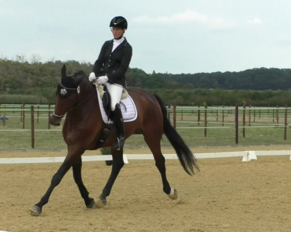 Reitturnier Swisttal-Miel 2019