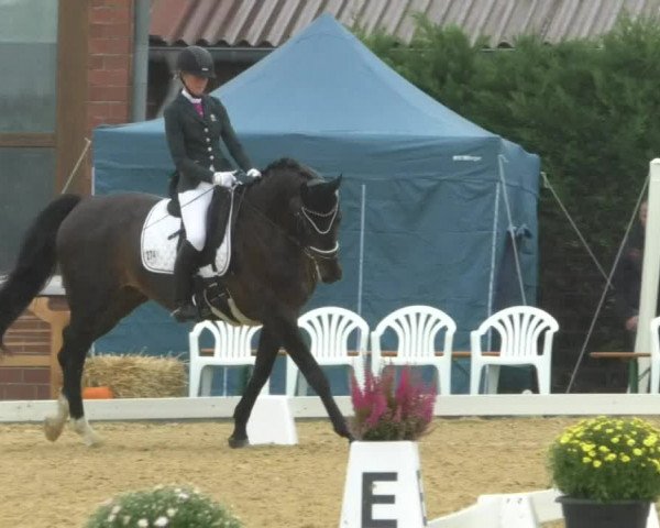 Reitturnier Swisttal-Miel 2019