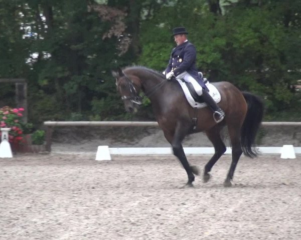 Reitturnier Würselen-Pley 2019