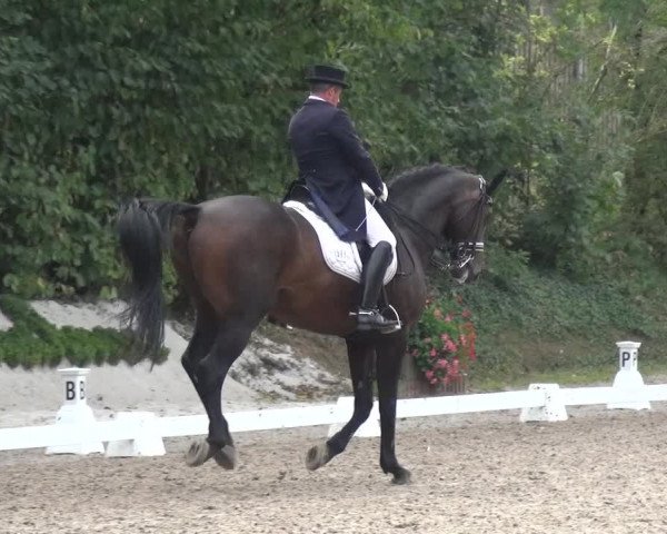 Reitturnier Würselen-Pley 2019