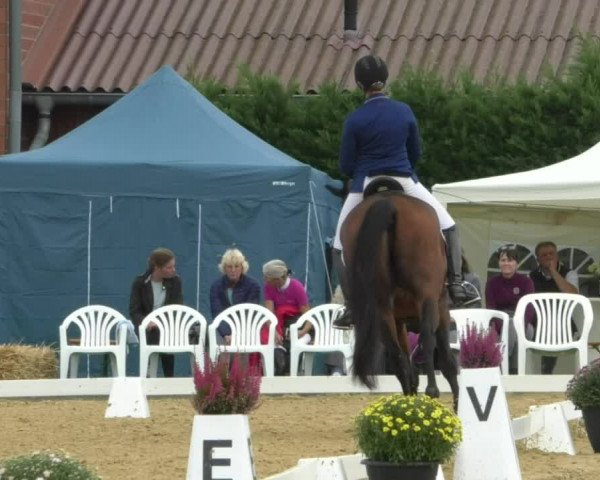 Reitturnier Swisttal-Miel 2019
