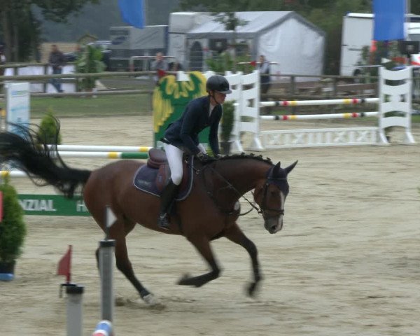 Reitturnier Albersloh 2019