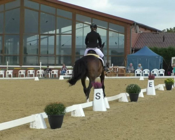 Reitturnier Swisttal-Miel 2019