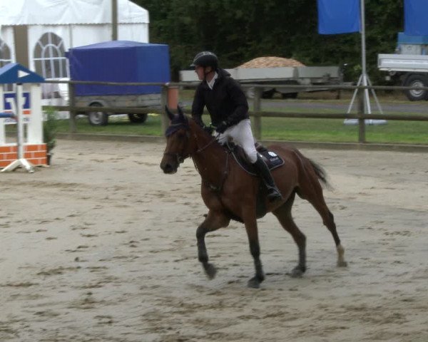 Reitturnier Albersloh 2019