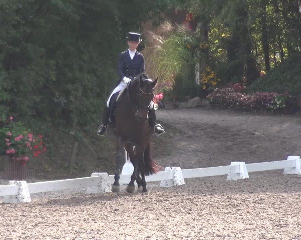 Reitturnier Würselen-Pley 2019