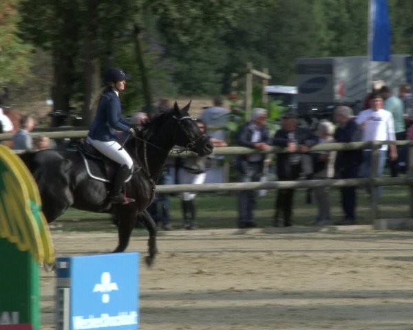 Reitturnier Albersloh 2019