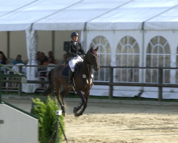 Reitturnier Albersloh 2019