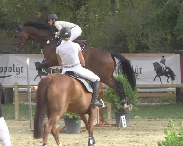 Reitturnier Walldorf/Winterheck 2019