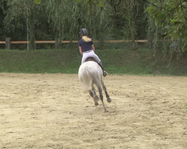 Reitturnier Walldorf/Winterheck 2019