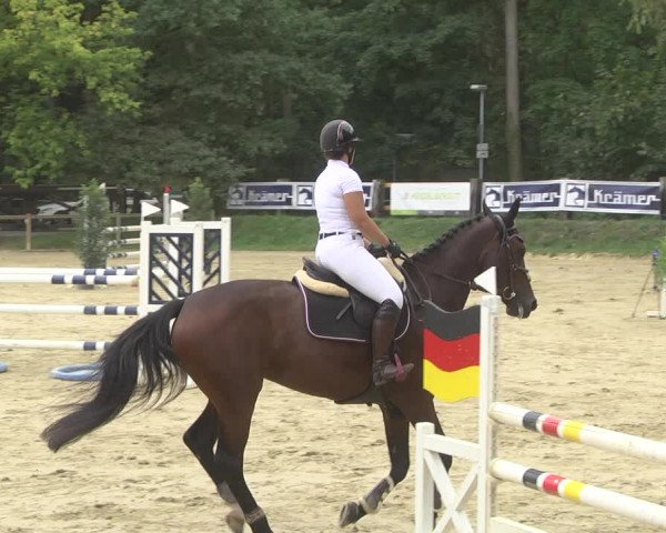 Reitturnier Walldorf/Winterheck 2019