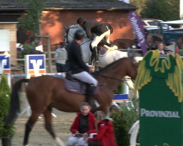 Reitturnier Albersloh 2019