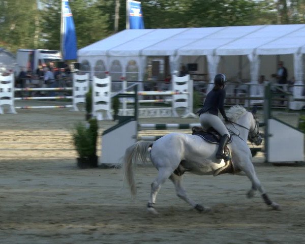 Reitturnier Albersloh 2019