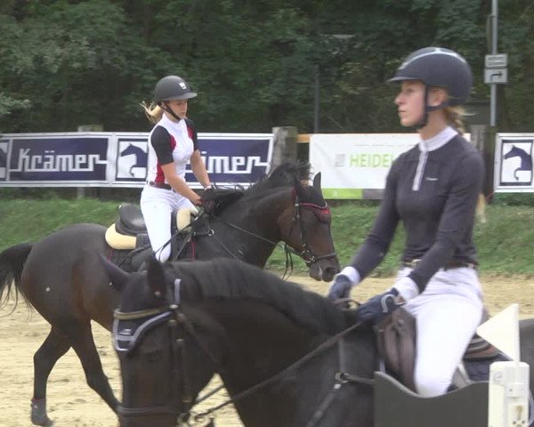 Reitturnier Walldorf/Winterheck 2019