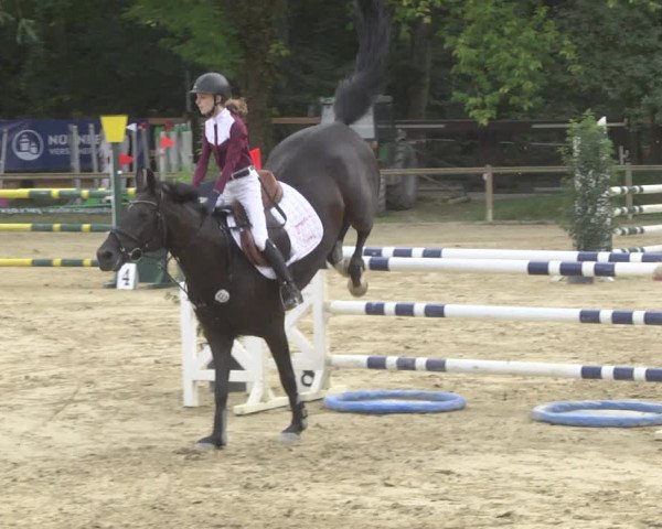 Reitturnier Walldorf/Winterheck 2019